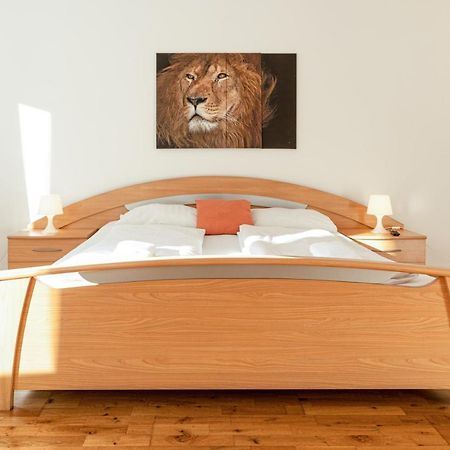 Comfortable 3Br Shared Apart. - Suitable For Long Stays Вена Экстерьер фото
